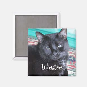 Erstellen Sie Ihr eigenes benutzerdefiniertes Foto Magnet