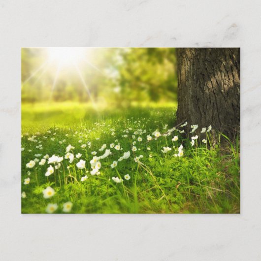 Erstellen Sie Ihr eigenes benutzerdefiniertes Foto Postkarte (Vorderseite)