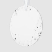 Erstellen Sie Ihr eigenes benutzerdefiniertes Pers Ornament (Vorderseite)