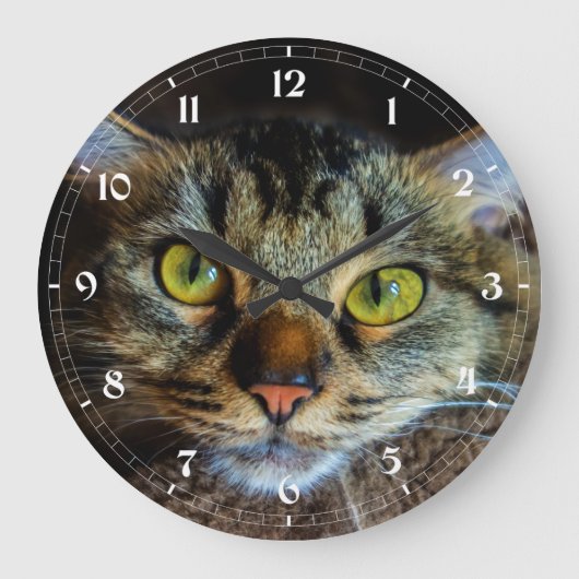 Erstellen Sie Ihr eigenes Cat-Foto - Fluffy Tabby  Große Wanduhr (Vorderseite)