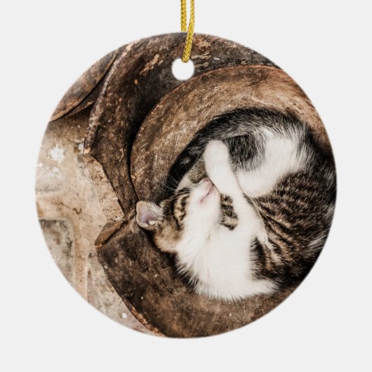 Erstellen Sie Ihr eigenes - Cat-Nickerchen Keramik Ornament (Vorne)