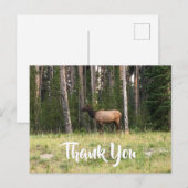Erstellen Sie Ihr eigenes Elch-Foto Vielen Dank Postkarte (Vorne/Hinten)