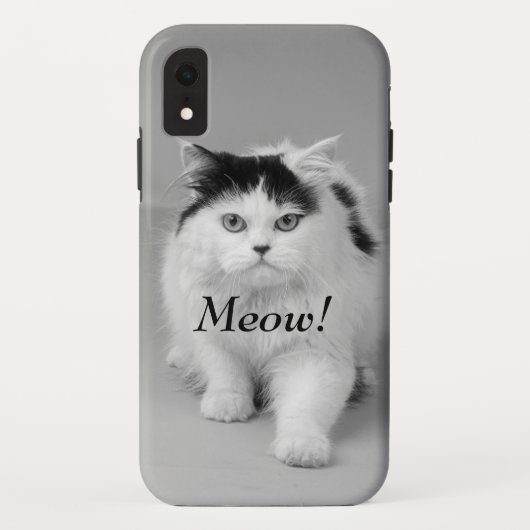 Erstellen Sie Ihr eigenes Foto Cat bewundernswert Case-Mate iPhone Hülle (Rückseite)