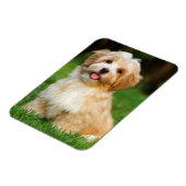 Erstellen Sie Ihr eigenes Foto für den Haustier Magnet (Linke Seite)