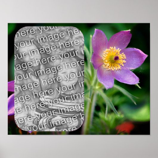Erstellen Sie Ihr eigenes Foto für die Blume in Ra Poster (Vorne)