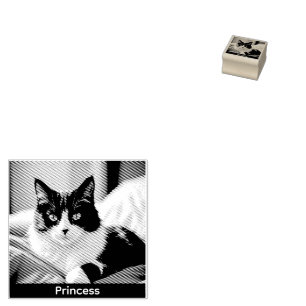 Erstellen Sie Ihr eigenes Foto für die Hauskatze P Gummistempel