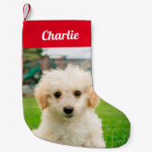 Erstellen Sie Ihr eigenes Foto für Haustiere. Kleiner Weihnachtsstrumpf (Vorderseite)