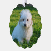 Erstellen Sie Ihr eigenes Foto für Hunde Ornament Karte (Links)