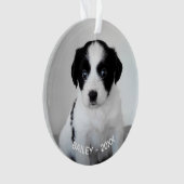 Erstellen Sie Ihr eigenes Foto mit eigenem Namen u Ornament (Vorderseite)