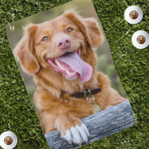 Erstellen Sie Ihr eigenes Haustier-Hunde-Foto