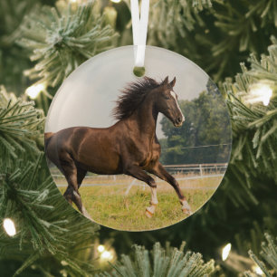 Erstellen Sie Ihr eigenes Haustier-Pferdefoto - Be Ornament Aus Glas