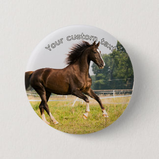 Erstellen Sie Ihr eigenes Haustier-Pferdefoto mit  Button