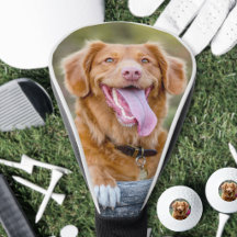 Erstellen Sie Ihr eigenes Hunde-Foto
