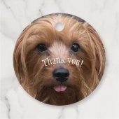 Erstellen Sie Ihr eigenes Hundebüt-Foto für den Ha Geschenkanhänger (Rückseite)