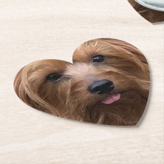 Erstellen Sie Ihr eigenes Hundebüt-Foto für den Ha Untersetzer (angewinkelt)