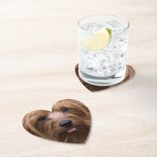 Erstellen Sie Ihr eigenes Hundebüt-Foto für den Ha Untersetzer (Vor Ort)