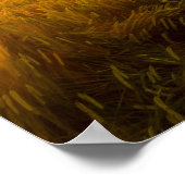 Erstellen Sie Ihr eigenes individuelles Angebot /  Poster (Ecke)