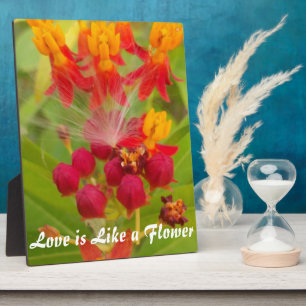 Erstellen Sie Ihr eigenes Live-Leben große individ Fotoplatte