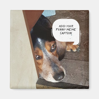 Erstellen Sie Ihr eigenes Meme Custom Funny Foto Magnet