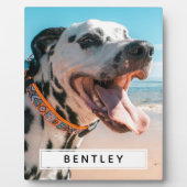 Erstellen Sie Ihr eigenes Name-Foto Fotoplatte (Vorderseite)