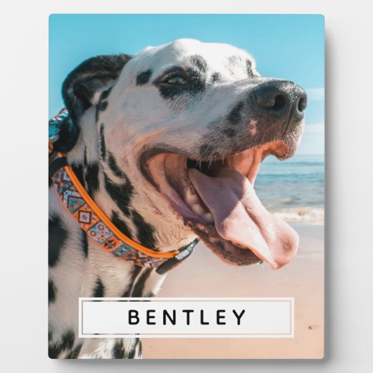 Erstellen Sie Ihr eigenes Name-Foto Fotoplatte (Vorderseite)