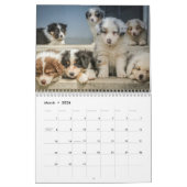 Erstellen Sie Ihr eigenes Niedliches Foto für Hund Kalender (Mär 2026)