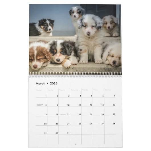 Erstellen Sie Ihr eigenes Niedliches Foto für Hund Kalender (Mär 2026)