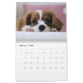 Erstellen Sie Ihr eigenes Niedliches Foto für Hund Kalender (Feb 2026)
