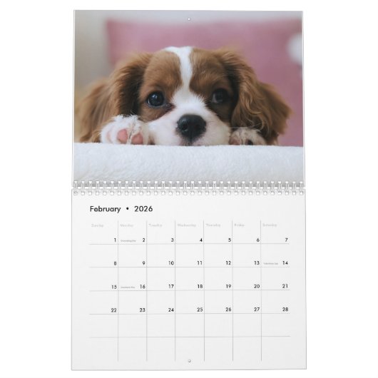 Erstellen Sie Ihr eigenes Niedliches Foto für Hund Kalender (Feb 2026)