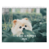 Erstellen Sie Ihr eigenes Niedliches Foto für Hund Kalender (Titelbild)