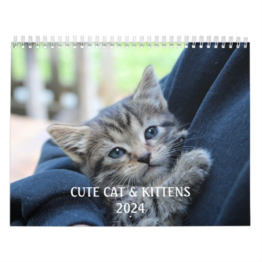 Erstellen Sie Ihr eigenes Niedliches, lustiges Cat Kalender (Titelbild)