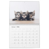 Erstellen Sie Ihr eigenes Niedliches, lustiges Cat Kalender (Jan 2026)