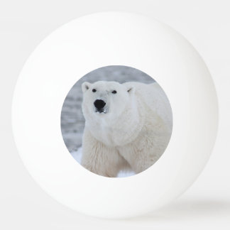 Erstellen Sie Ihr eigenes Personalisiertes Foto Tischtennisball