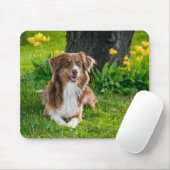 Erstellen Sie Ihr eigenes Pet-Foto Mousepad (Mit Mouse)