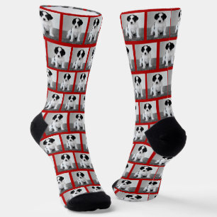 Erstellen Sie Ihr eigenes Pet-Foto-Muster Red Bord Socken