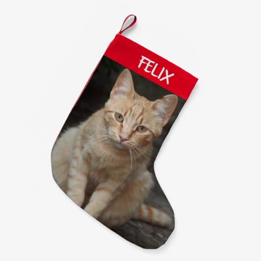 Erstellen Sie Ihr eigenes Pet-Tablet mit dem Cat-F Kleiner Weihnachtsstrumpf (Vorderansicht (hängend))