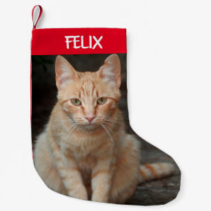 Erstellen Sie Ihr eigenes Pet-Tablet mit dem Cat-F Kleiner Weihnachtsstrumpf
