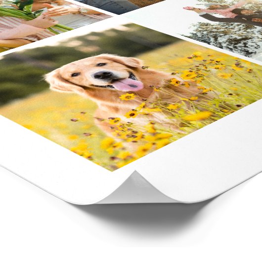 Erstellen Sie Ihr eigenes Social Media Foto Collag Poster (Ecke)