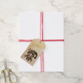 Erstellen Sie Ihr eigenes spunky magisches Weihnac Geschenkanhänger (Mit Garn)