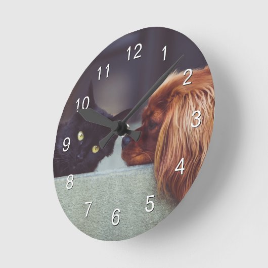 Erstellen Sie Ihr individuelles Foto für Haustiere Runde Wanduhr (Winkel)