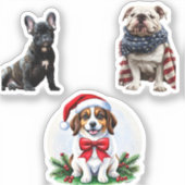 Erstellen Sie Ihre eigene 3 FotoCollage individuel Aufkleber (Vorderseite)