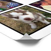 Erstellen Sie Ihre eigene benutzerdefinierte BildC Poster (Ecke)