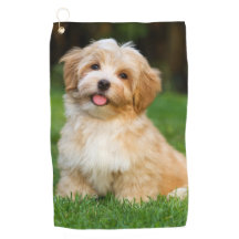 Erstellen Sie Ihre eigene, benutzerdefinierte Dock