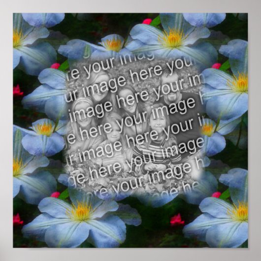 Erstellen Sie Ihre eigene Foto Clematics-Blume-Gre Poster (Vorne)