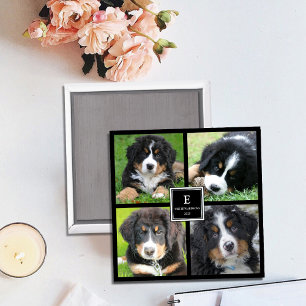 Erstellen Sie Ihre eigene Foto-Collage mit Monogra Magnet
