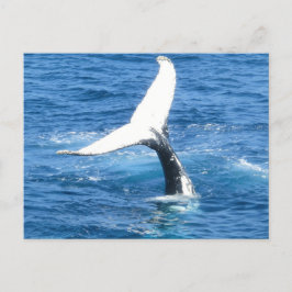 Erstellen Sie Ihre eigene Foto-Grußkarte Postkarte