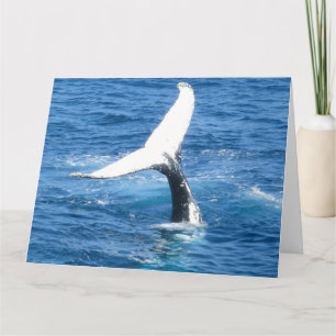 Erstellen Sie Ihre eigene Fotokarte Karte