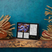 Erstellen Sie Ihre eigene Fotomaterial, bewahren S Fotoplatte (Seite)