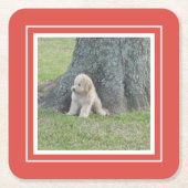 Erstellen Sie Ihre eigene Fotovorlage Koralle & We Rechteckiger Pappuntersetzer (Vorderseite)