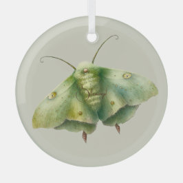 Erstellen Sie Ihre eigene grüne Fantasiemotte Ornament Aus Glas